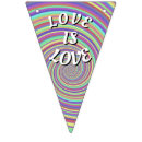 Pesquisar por o gay bandeirinhas Bicha