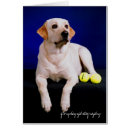 Pesquisar por tênis bonito cartoes postais Cão