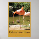 Pesquisar por posturas pôsteres Foto