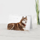Pesquisar por husky cartoes Neve