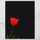 Pesquisar por fundo preto flyers Flor