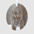 Pesquisar por gato grande ornamentos Animal