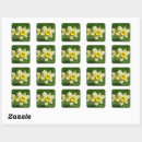Pesquisar por do daffodil adesivos Natureza