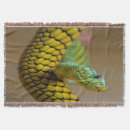 Pesquisar por anfíbios mantas Vida selvagem