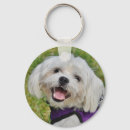 Pesquisar por maltês chaveiros Canino