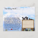 Pesquisar por lobos selvagens cartoes postais Selvagem