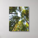 Pesquisar por parque cidade impressão de canvas Floresta