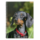 Pesquisar por filhote cachorro preto cadernos de notas Cão