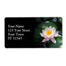 Pesquisar por de jardinagem etiquetas Floral