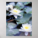Pesquisar por waterlilies Waterlily