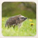 Pesquisar por europeu porta copos Animais selvagens