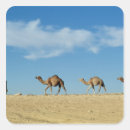 Pesquisar por do camelo adesivos Deserto