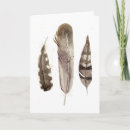Pesquisar por feather cartoes Animal