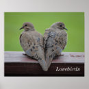 Pesquisar por luto pôsteres Pássaros