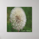 Pesquisar por dandelion impressão de canvas Aquarela