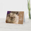 Pesquisar por comic fotografia cartoes Coelho