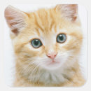 Pesquisar por tablet adesivos Animal