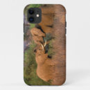 Pesquisar por tronco iphone capas Animal