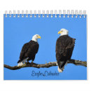 Pesquisar por águia calendarios Natureza