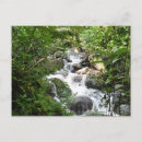 Pesquisar por porte postal da floresta Porto