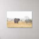 Pesquisar por animais africanos impressão de canvas Elefante