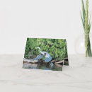 Pesquisar por azul pássaro cartoes For him