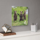 Pesquisar por ursinho relogios de parede Urso