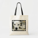 Pesquisar por dalmatian bolsas Cão