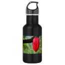 Pesquisar por caça garrafa agua Natureza