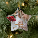 Pesquisar por texto ornamentos Feriado