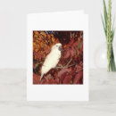 Pesquisar por cockatoo cartoes Parrot