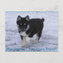 Pesquisar por akitas cartoes postais Animais de estimação