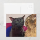 Pesquisar por porte postal preto Friend