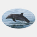 Pesquisar por animais marinhos adesivos Náutico