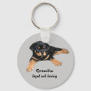 Pesquisar por cachorro rottweiler chaveiros Cachorros