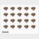 Pesquisar por animais autocolantes For pets
