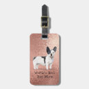 Pesquisar por mundos melhores bagagem tags Viagem