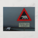 Pesquisar por svalbard cartoes postais Polar