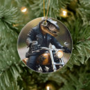 Pesquisar por t rex ornamentos Tiranossauro