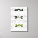 Pesquisar por libélulas impressão de canvas Folhas de flores