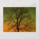 Pesquisar por aurora boreal cartoes postais Galeria jaynes