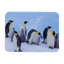 Pesquisar por comportamento imas Animal