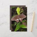 Pesquisar por natureza papel de carta Árvores