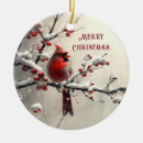 Pesquisar por cardinal ornamentos Moderno