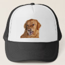 Pesquisar por golden retriever acessorios Amante do cão