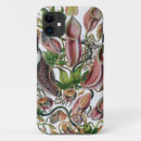Pesquisar por haeckel de ernst iphone capas Natureza