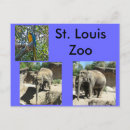 Pesquisar por zoo cartoes postais Elefantes