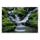 Pesquisar por olimpiadas np cartoes postais Preservação