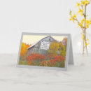 Pesquisar por barnes cartoes For her