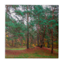 Pesquisar por misturado azulejos Natureza